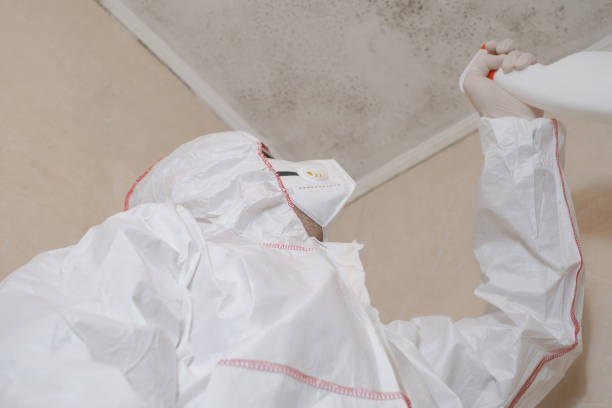 Best Office Mold Removal Services  in Flora, IN